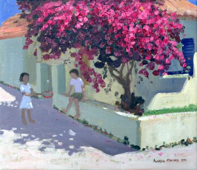 Bougainvillaea, Zante, 1999 von Andrew Macara